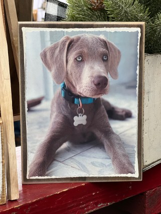 6X7 COLOR PHOTO BLOCK